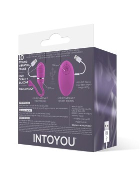 HUEVO VIBRADOR CONTROL REMOTO ODISE USB SILICONA ROSA - INTOYOU