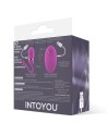 HUEVO VIBRADOR CONTROL REMOTO ODISE USB SILICONA ROSA - INTOYOU