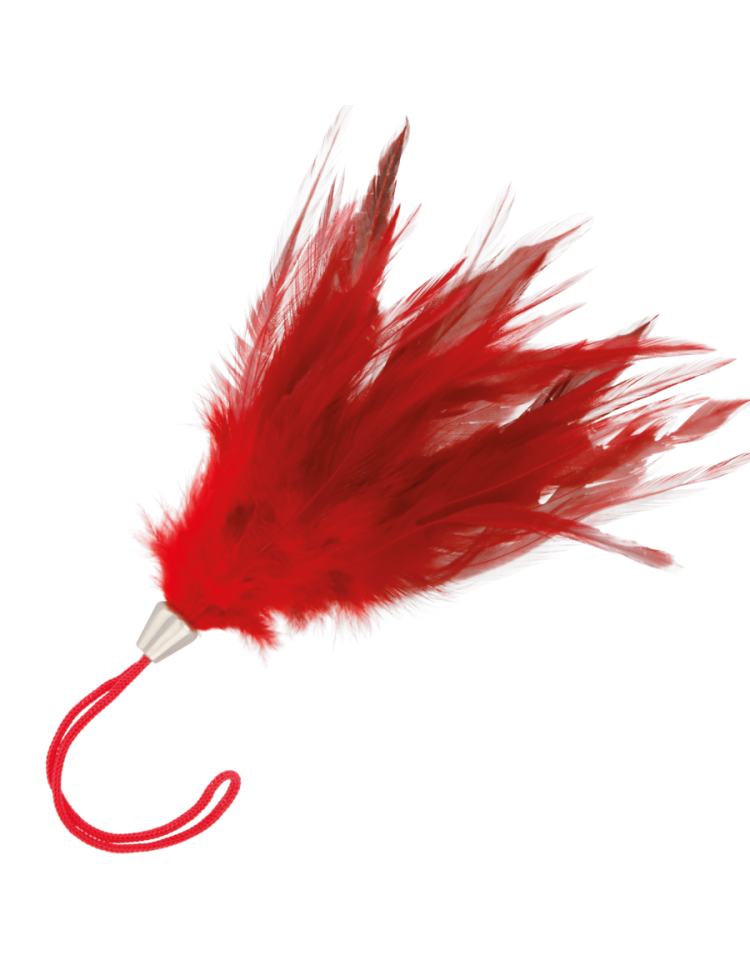 PLUMA ESTIMULADORA ROJO 17CM