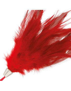 PLUMA ESTIMULADORA ROJO 17CM