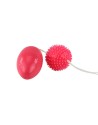 BOLAS ANALES